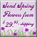 Send Flowers